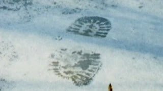 Watch 100% Docs live online