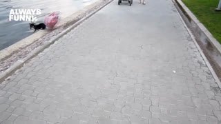 Watch AFV live online