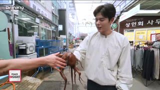 Watch Arirang World live online