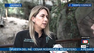 Watch Canal 10 Durango live online