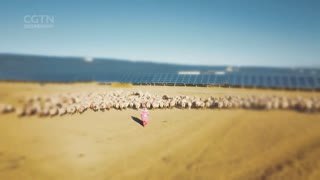 Watch CGTN Documentary live online