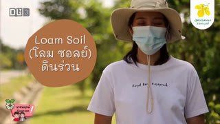 Watch DLTV 3 live online