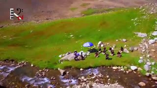 Watch Kayhan TV live online