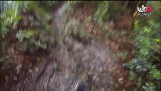 Watch Oman Althakafia live online