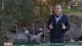 Watch TVT live online